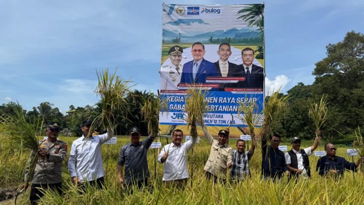 JFK Panen Raya 12 Ton per Hektare, Bulog Serap Gabah Rp6.500 per Kg JFK