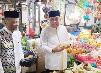 Nurdin Halid Cek Harga Bahan Pokok di Pasar Pabaeng-Pabaeng Makassar