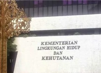 KLH Bantah Klaim Petani Lada di Lutim Soal Pendataan Lahan Bayar Rp300 Juta