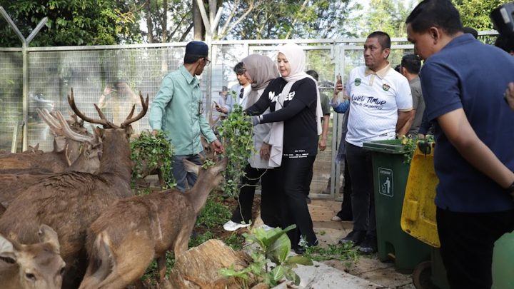 Wagub Sulsel Fatmawati Rusdi Dukung PT Vale Mengembangkan Industri Hijau untuk Pertumbuhan Berkelanjutan Wagub Sulsel
