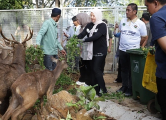 Wakil Gubernur Sulsel Apresiasi PT Vale Jadi Penjaga Ekosistem
