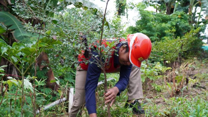 Hijaukan Bumi, Terangi Masa Depan: Aksi PLN IP UBP Tello untuk Net Zero Emission pt pln ip ubp tello