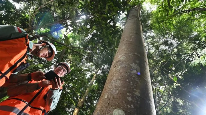 Rektor Unhas Sebut Green Mining PT Vale Adalah Pusat Vokasi Hilirisasi Indonesia Timur PT Vale