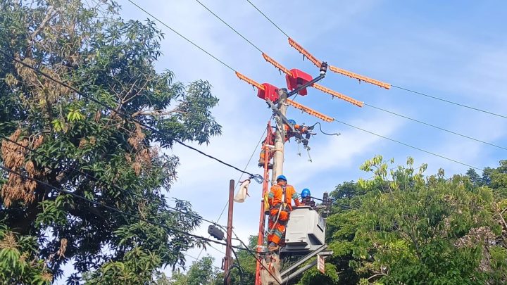 Gangguan Listrik di Bantaeng Pasukan Khusus PLN UID Sulselrabar Bereskan 82 Titik Pengerjaan Gangguan listrik