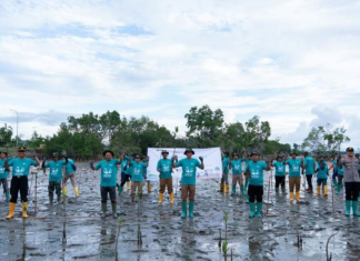 Peran Besar Industri Tambang untuk Konservasi Pesisir dan Pengelolaan Sampah di Luwu Timur