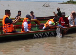 Bupati Sidrap Tebar 286 Ribu Bibit Ikan di Danau Sidenreng