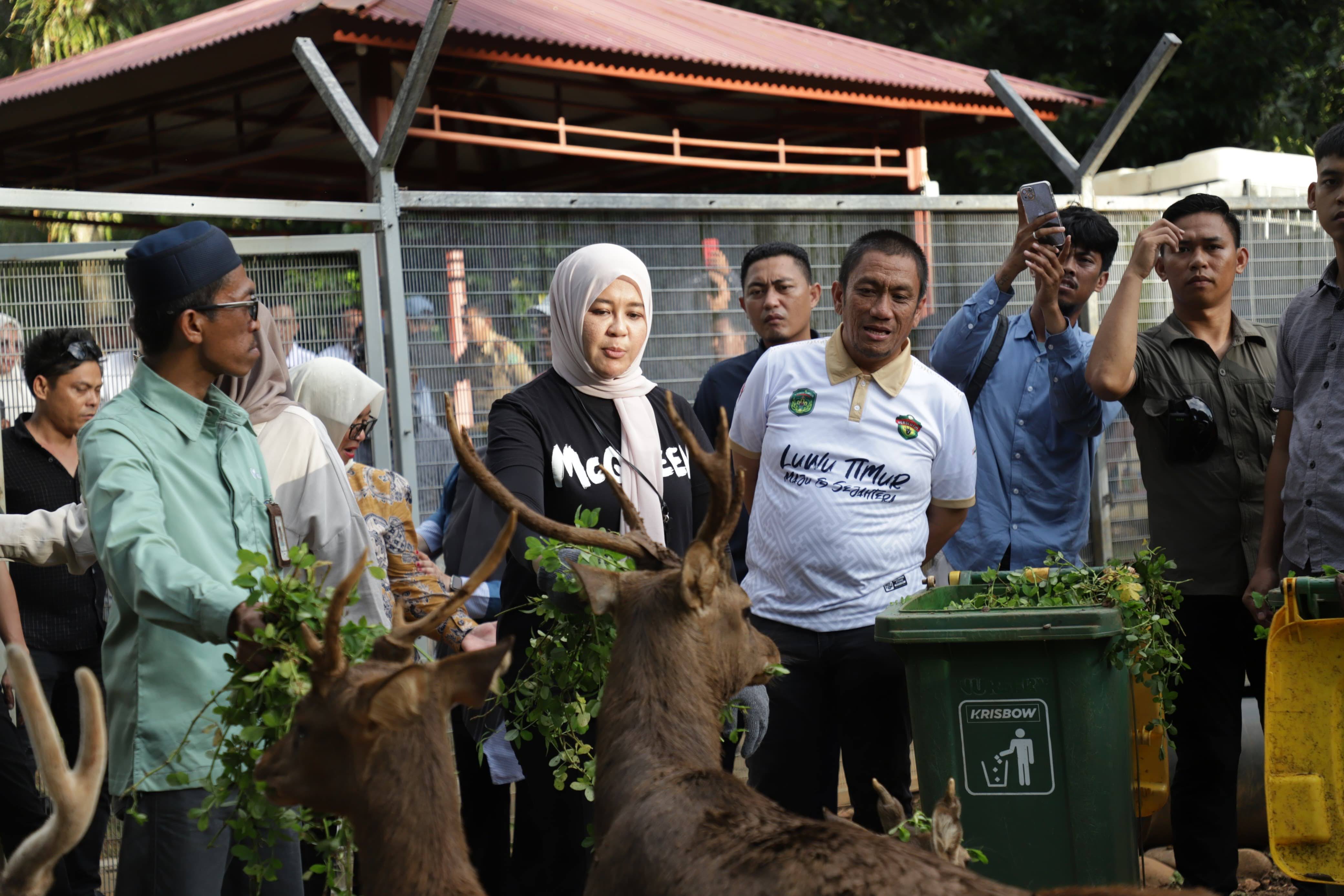 Di Balik Geliat Ekonomi Lutim: Sentuhan Perusahaan Tambang yang Menaikkan Taraf Hidup Warga Pesisir Matano