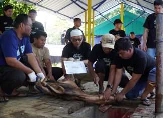 Peringati Hari Raya Idul Adha, PLN IP UBP Tello Berbagi Berkah Qurban pada Warga Sekitar