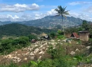 Tanah yang Diracuni, Tubuh yang Dikhianati