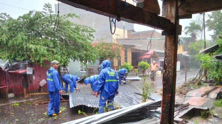 Diguyur Hujan Deras dan Angin Kencang, Pohon Tumbang Hingga Sebabkan Kerusakan di Bulukumba pohon tumbang di Bulukumba