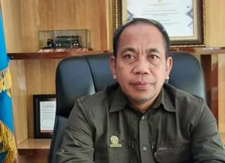 pembalakan liar