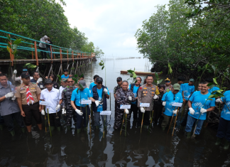 PT Vale Tanam 2.000 Mangrove dan Restorasi Terumbu Karang demi Pulihkan Ekosistem Pesisir Malili
