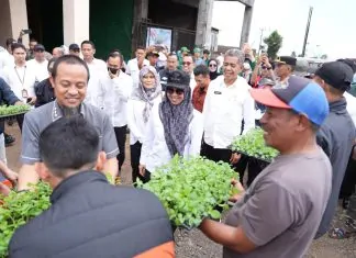 Pemkab Gowa Komitmen Perkuat Komoditas Kentang di Dataran Tinggi