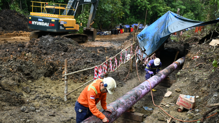 PT Vale dan Masyarakat Towuti Tempuh Jalan Pemulihan Berkelanjutan -  Makassar Terkini