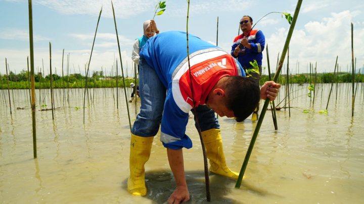 pertamina patra niaga