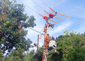 PLN Imbau Jaga Jarak Aman saat Pasang Atribut Kemerdekaan dari Jaringan Listrik