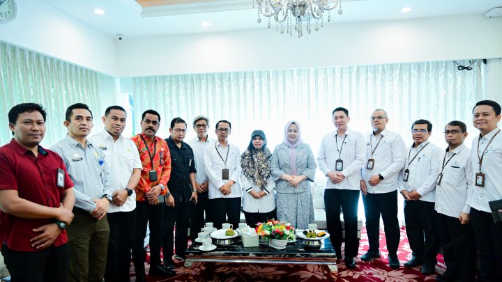 wakil gubernur sulsel