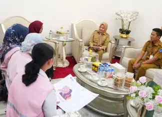 Temui Wakil Gubernur Sulsel, Srikandi PLN Bahas Women Empowerment 2025