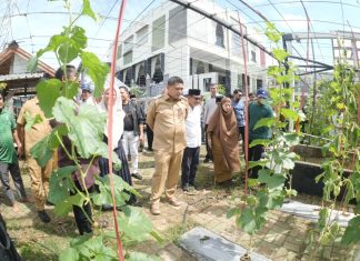 Wali Kota Makassar Luncurkan Gerakan Urban Farming di Bukit Baruga