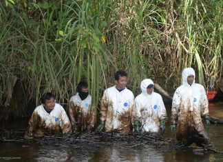 Wujudkan Towuti Pulih, PT Vale Fokus Bersihkan Sisa Tumpahan dan Tanggapi Aduan Warga