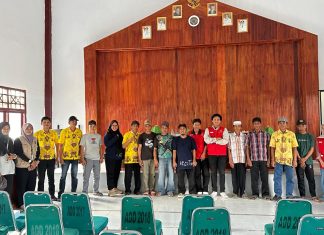 Produktivitas sapi