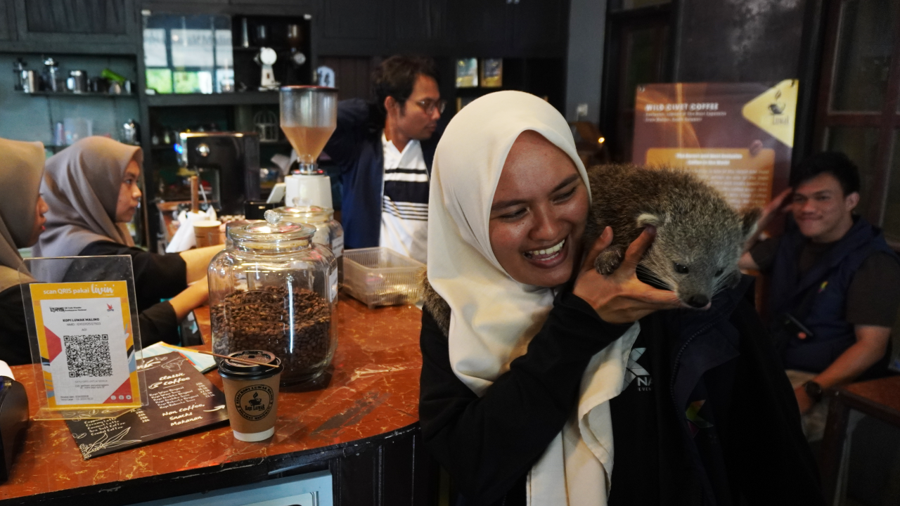 Foto: Kedai Kopi Luwak di Malino Memanfaatkan QRIS Livin, Transaksi Lebih Cepat dan Akurat