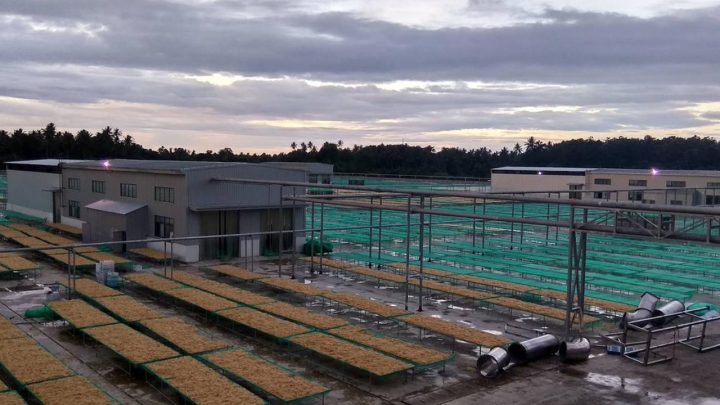 Setrum Perusahaan Listrik Negara Gairahkan Industri Rumput Laut di Daerah PLN