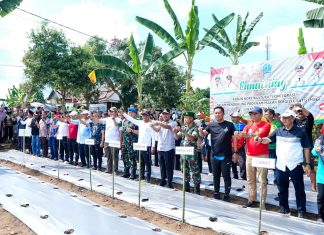 Gubernur Sulsel Luncurkan Kebun MBG, SPPG Wajib Serap Pangan Lokal
