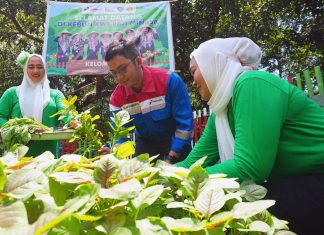Pertamina Patra Niaga Sulawesi Hadirkan Program Serunya Menanam, Bahagianya Memanen Bersama KWT Baji Minasa