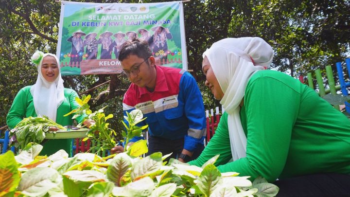 Pertamina Patra Niaga Sulawesi Hadirkan Program Serunya Menanam, Bahagianya Memanen Bersama KWT Baji Minasa pertamina patra niaga sulawesi