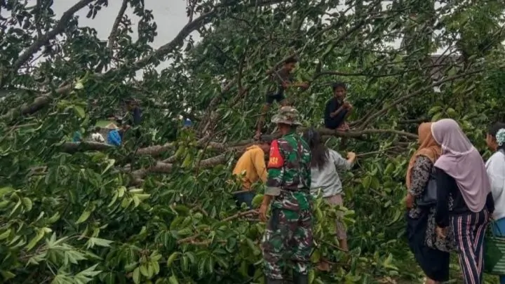 Hujan Deras yang Disertai Angin Kencang Rubuhkan Tiang Listrik dan Pohon di Jeneponto