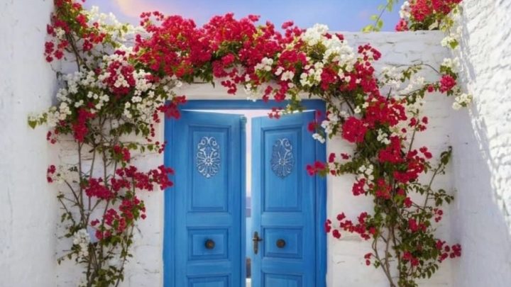 Rayakan Tahun Baru 2026 di Hotel Golden Tulip Essential Makassar, Siap-Siap Bawa Pulang Hadiah! hotel golden tulip makassar