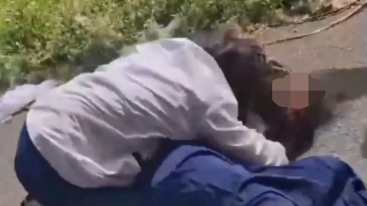 Beredar Video Aksi Kekerasan Antar Siswi di Jeneponto, Ada yang Terbaring Lemas Diatas Aspal Beredar Video