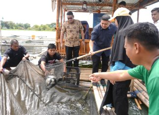 Wali Kota Makassar Ikut Panen Ikan di Keramba Warga, Ketahanan Pangan Terus Diperkuat
