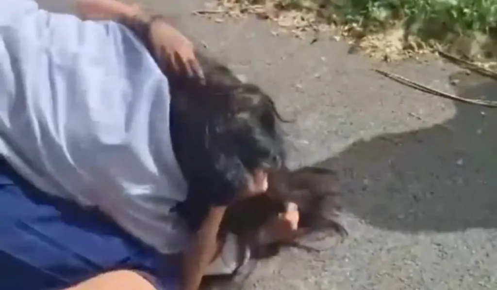 Beredar Video Aksi Kekerasan Antar Siswi di Jeneponto, Ada yang Terbaring Lemas Diatas Aspal