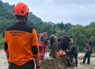 daengtisia rescue