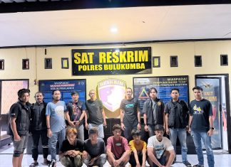 Pencuri sapi