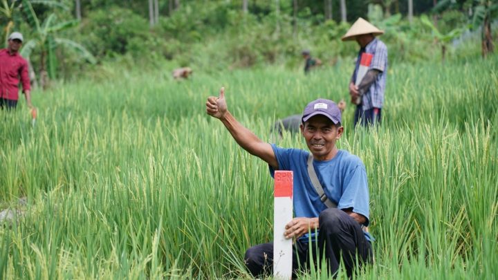 Minim Pengawasan, Tanah Kosong Rentan Diserobot, Simak Imbauan ATR/BPN ATR BPN