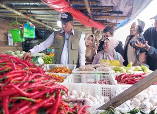 Dirut Bulog Cek Harga Pangan di Pasar Terong Makassar, Pastikan Terkendali Sesuai HET dan HAP