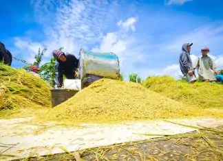 Kementerian Pertanian