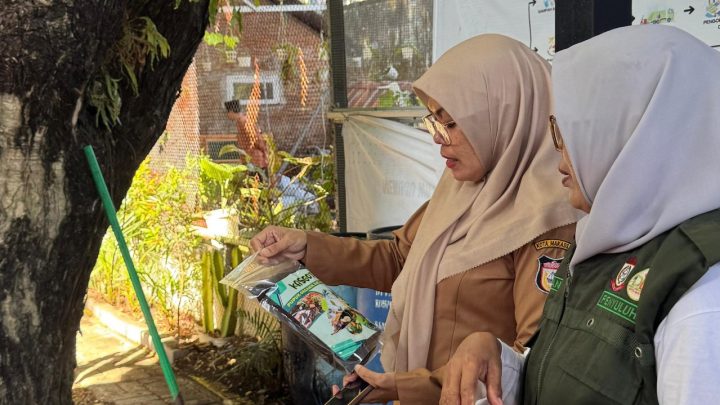 Kecamatan Ujung Pandang Kembangkan Urban Farming di Lahan Sempit, Empat Titik Mulai Berjalan urban farming Makassar
