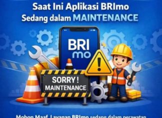 BRImo maintenance