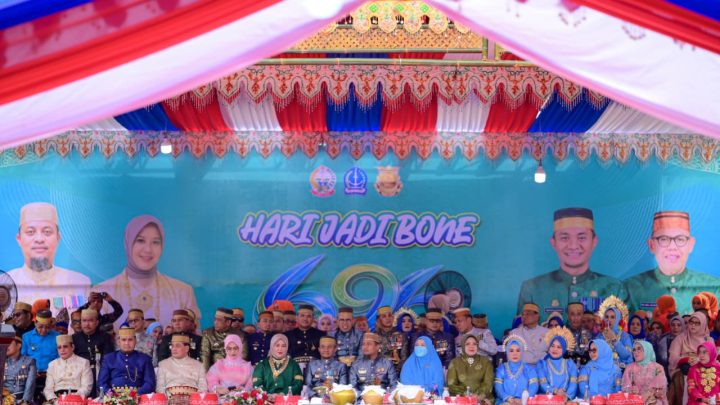 Wakil Gubernur Sulsel