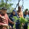 urban farming Makassar