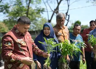 urban farming Makassar