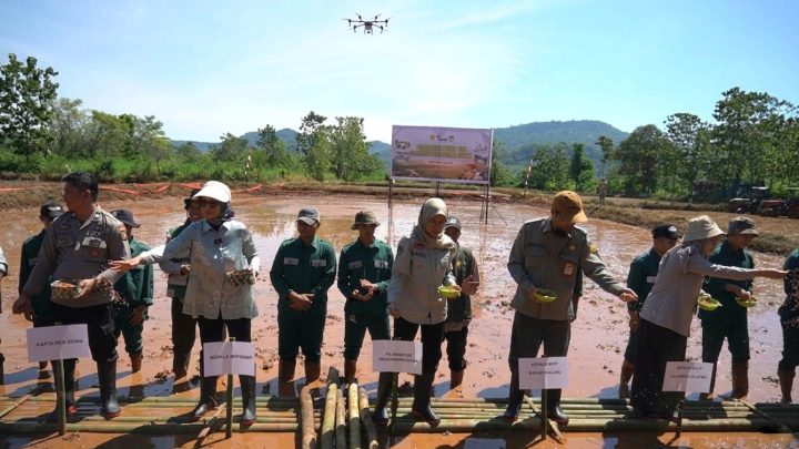 Percepatan Tanam Lahan CSR, Kementan Dorong Peningkatan Produksi Pangan Nasional Kementerian Pertanian