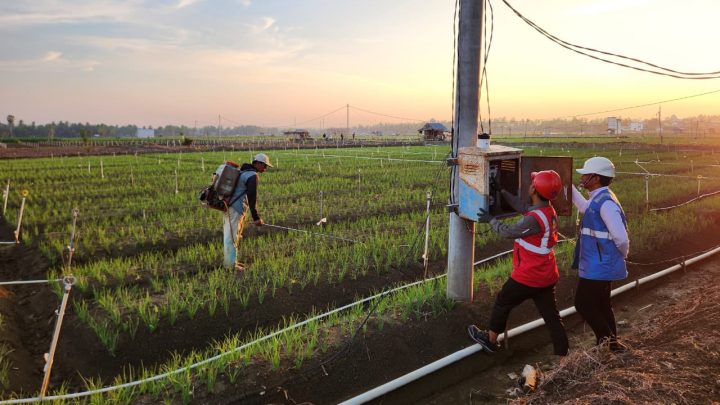 PLN Hadirkan Listrik untuk Petani Bone, Produktivitas Naik dan Biaya Operasional Turun sampai 74 Persen PLN