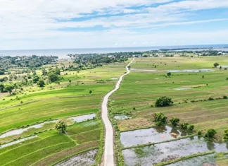 Jejak Satgas