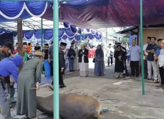 Pelindo Makassar