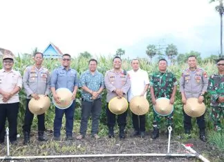 Wujudkan Kemandirian
